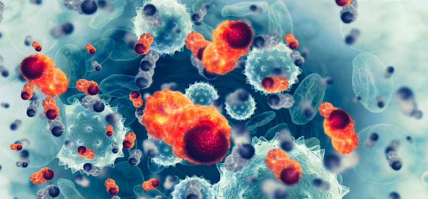 Immunofoco Gets Approval to Begin Trials for IMC001